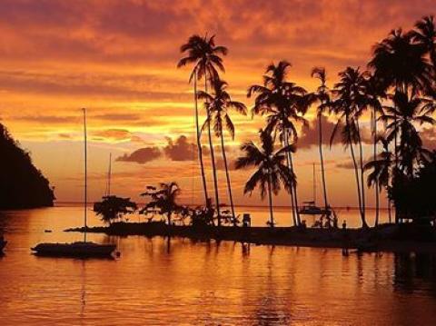 Croisière en Catamaran aux Antilles