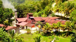 Le rhum antillais JM