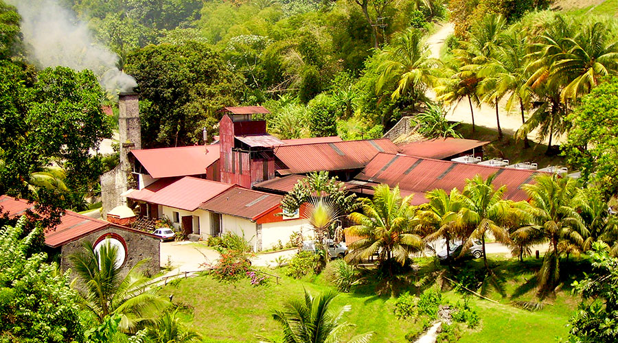 Le rhum antillais JM